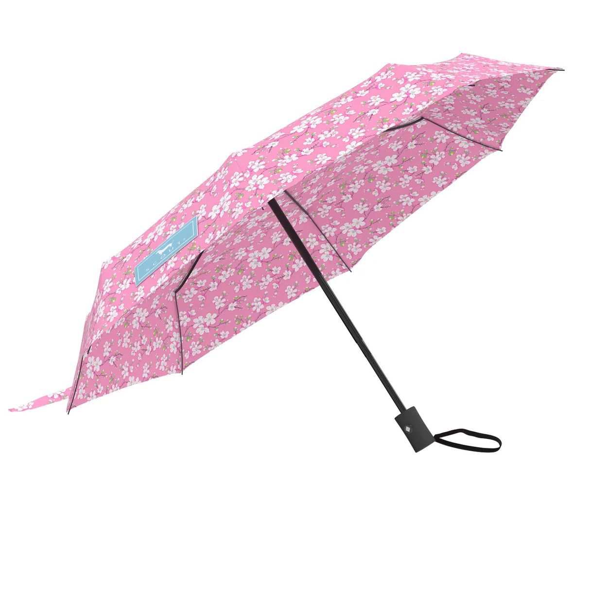 Scout Umbrella- High and Dry